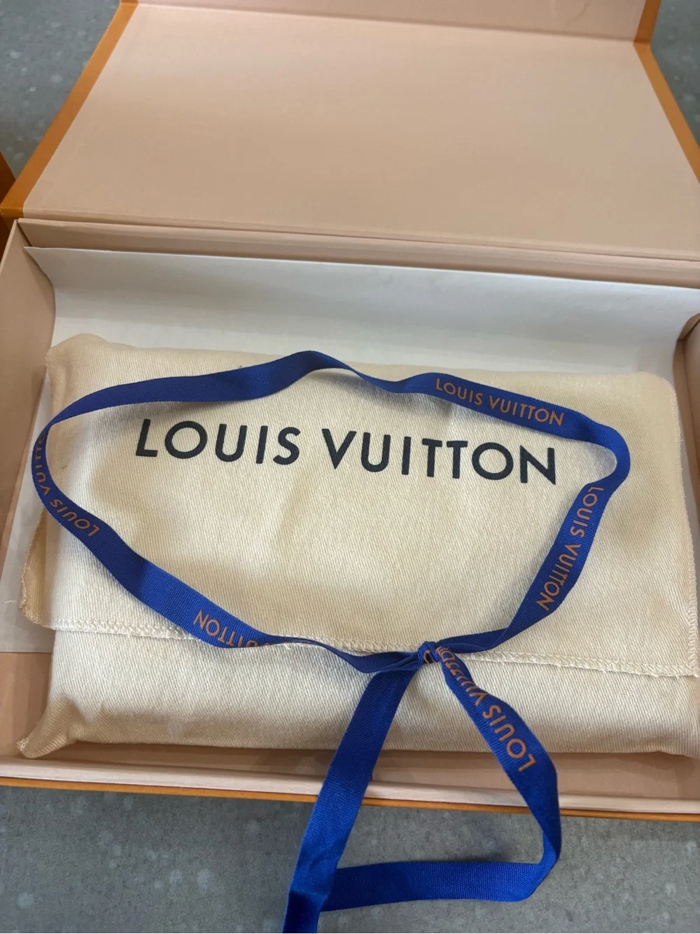 Louis Vuitton brand louis